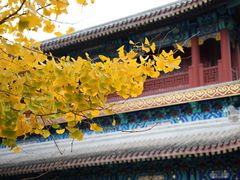 -潭柘寺景区