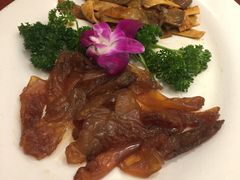 海蜇头拼鱼皮-同君福大酒楼(紫新路店)