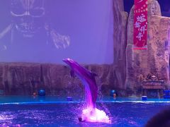 -华夏文旅海洋公园