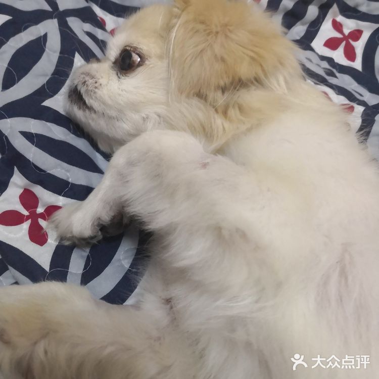 乒小乓，你想姐姐了吗？