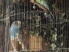 -西西里轰趴日租聚会别墅·团建拓展