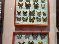 -哈尔滨师范大学(松北校区)