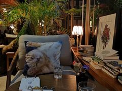 -咖法森林·咖啡  酒吧(天河店)