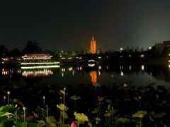 -西海子公园