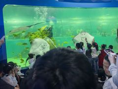 -苏州海洋馆