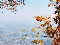 -香山公园