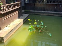 -山水一号·中餐厅