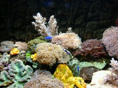 -北戴河圣蓝海洋公园