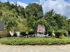 -广州白江湖森林公园