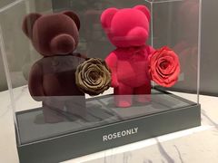 -ROSEONLY诺誓(青岛万象城店)