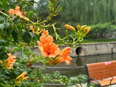 -元大都城垣遗址公园