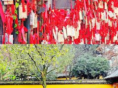 -杭州上天竺法喜讲寺