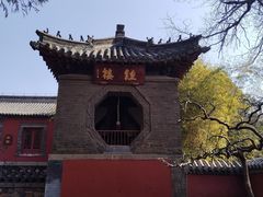 -泰山风景名胜区-普照寺