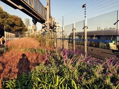 -北外滩滨江绿地