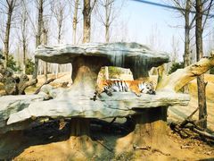 -北京野生动物园