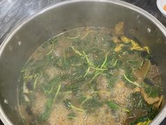 -鸽鸟轩(石岐店)