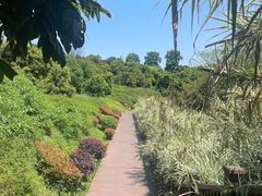 -张坝桂圆林公园