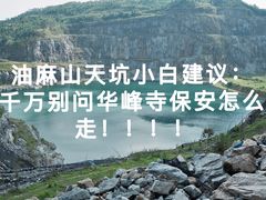 -黄埔油麻山森林公园