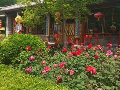 -白家大院·王府宫廷菜(苏州街店)
