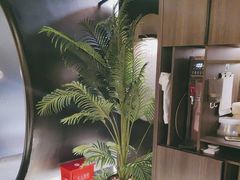 -六月雪干锅(绵阳王府井百货店)