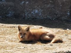 -杭州野生动物世界