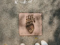 -红山森林动物园