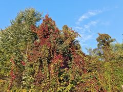 -六鼎山文化旅游区