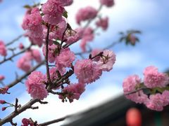 -观澜山水田园
