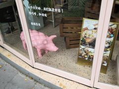 -WHEN PIGS FLY当猪飞