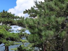 -罗田天堂寨风景区