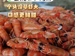 白灼斑节对虾-明润海鲜(南边海店)