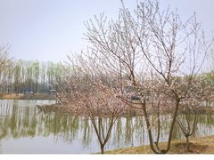 -东郊湿地公园