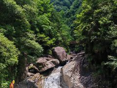 -花岩国家森林公园