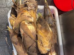-小小饭店·休闲农庄·安吉松树林里的农家菜