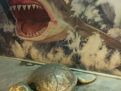 -洛阳龙门海洋馆