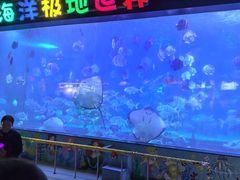 -蓬莱欧乐堡海洋极地世界