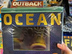 -上海德威外籍人员子女学校(浦东校区)