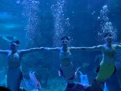 -左海海底世界