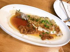 姜蓉鲈鱼-喜上喜鸡煲翅(吉大店)