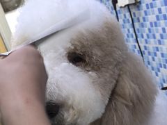 -宠颐生宠物医院·心肾内科·猫专科诊疗中心宠巢店