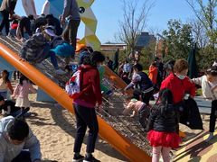 -季高兔窝窝亲子园(上海薰衣草公园店)