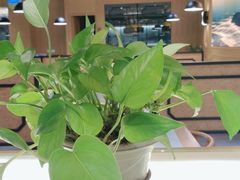 大堂-如轩·海鲜砂锅粥·潮汕菜(南城店)
