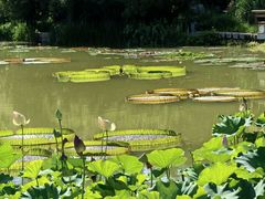 -国家植物园南园