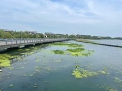 -阳澄湖半岛旅游度假区