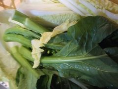 -椰夫人·养生椰子鸡(金沙洲永旺店)