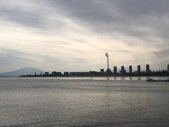 -霞涌市场海鲜摆卖区