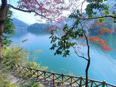 -广州市流溪河国家森林公园
