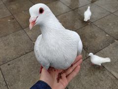 -旅顺博物馆