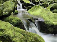 -青峰峡国家森林公园