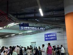 -华润深圳湾体育中心-“春茧” 体育馆